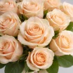 Букет роз кремового цвета 2